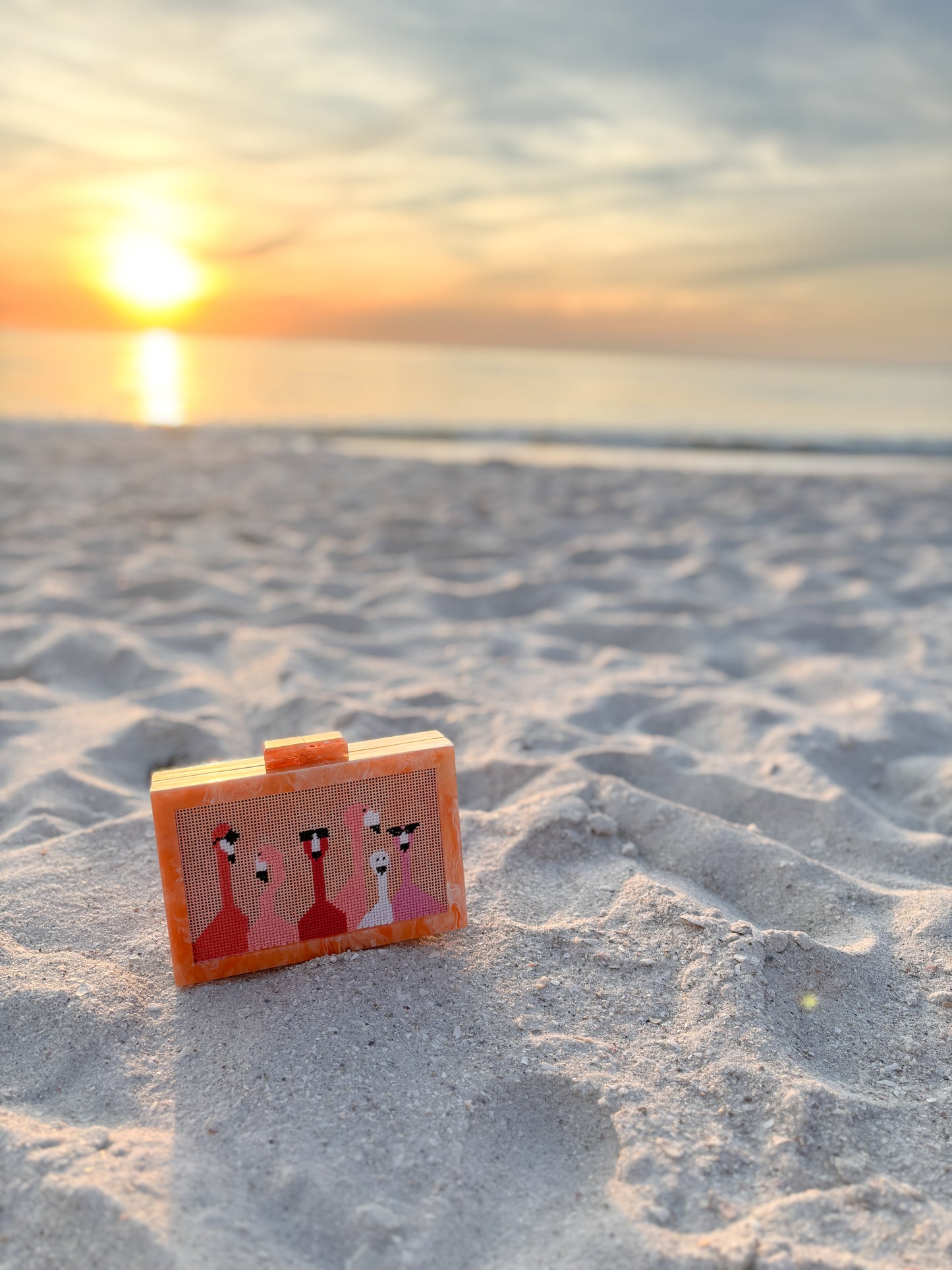 the𝗡𝗗𝗟𝗣𝗧bag™️ acrylic clutch with painted flamingoes