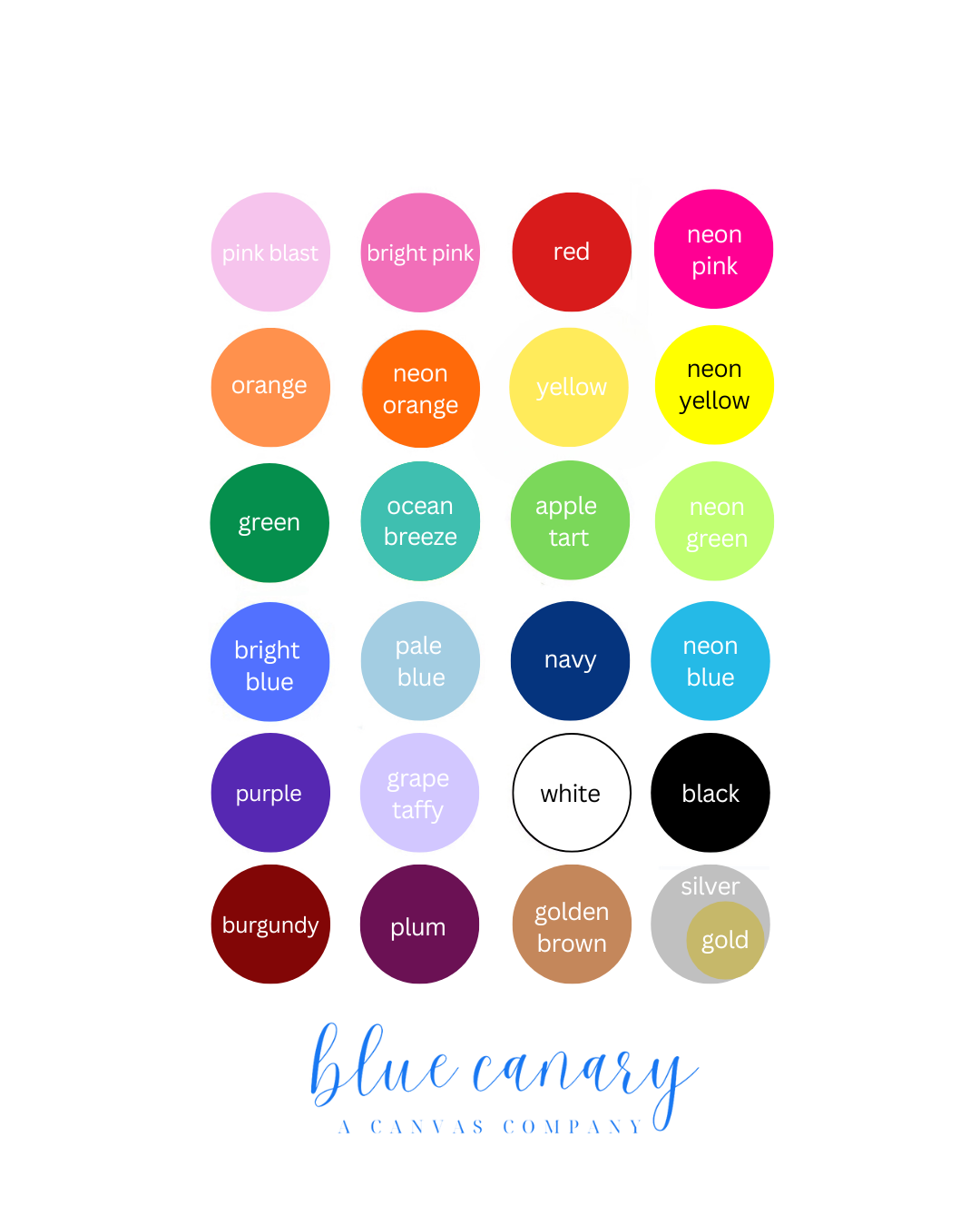 the𝗡𝗗𝗟𝗣𝗧bag™️ acrylic clutch with painted monogram