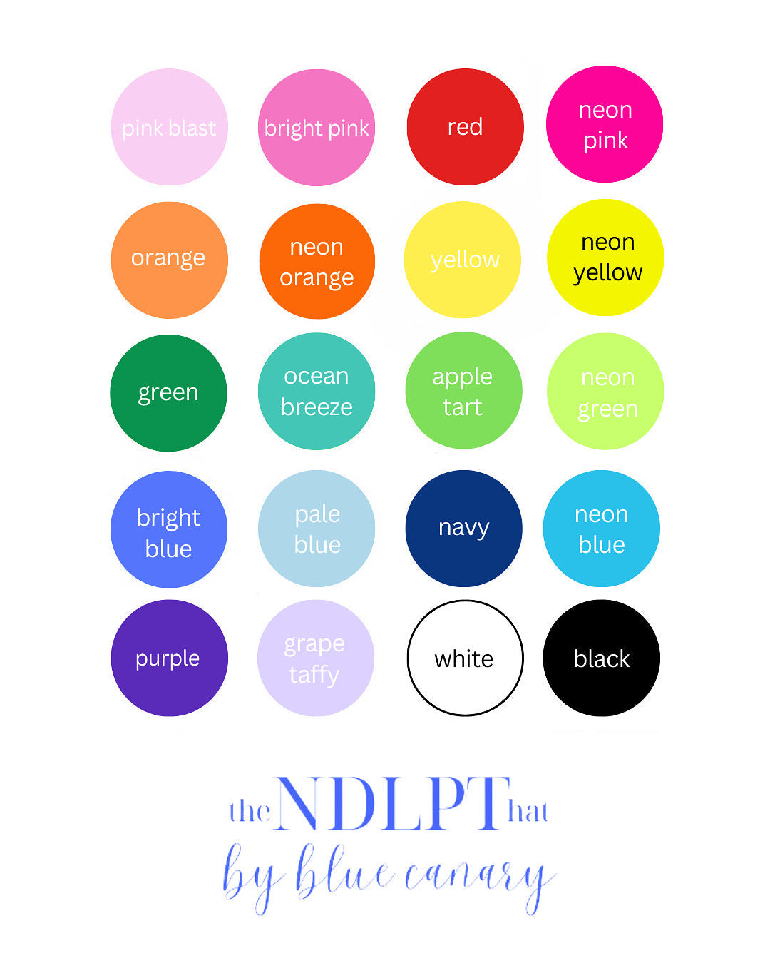 the𝗡𝗗𝗟𝗣𝗧hat™ 2.0 - painted 3 letter monogram