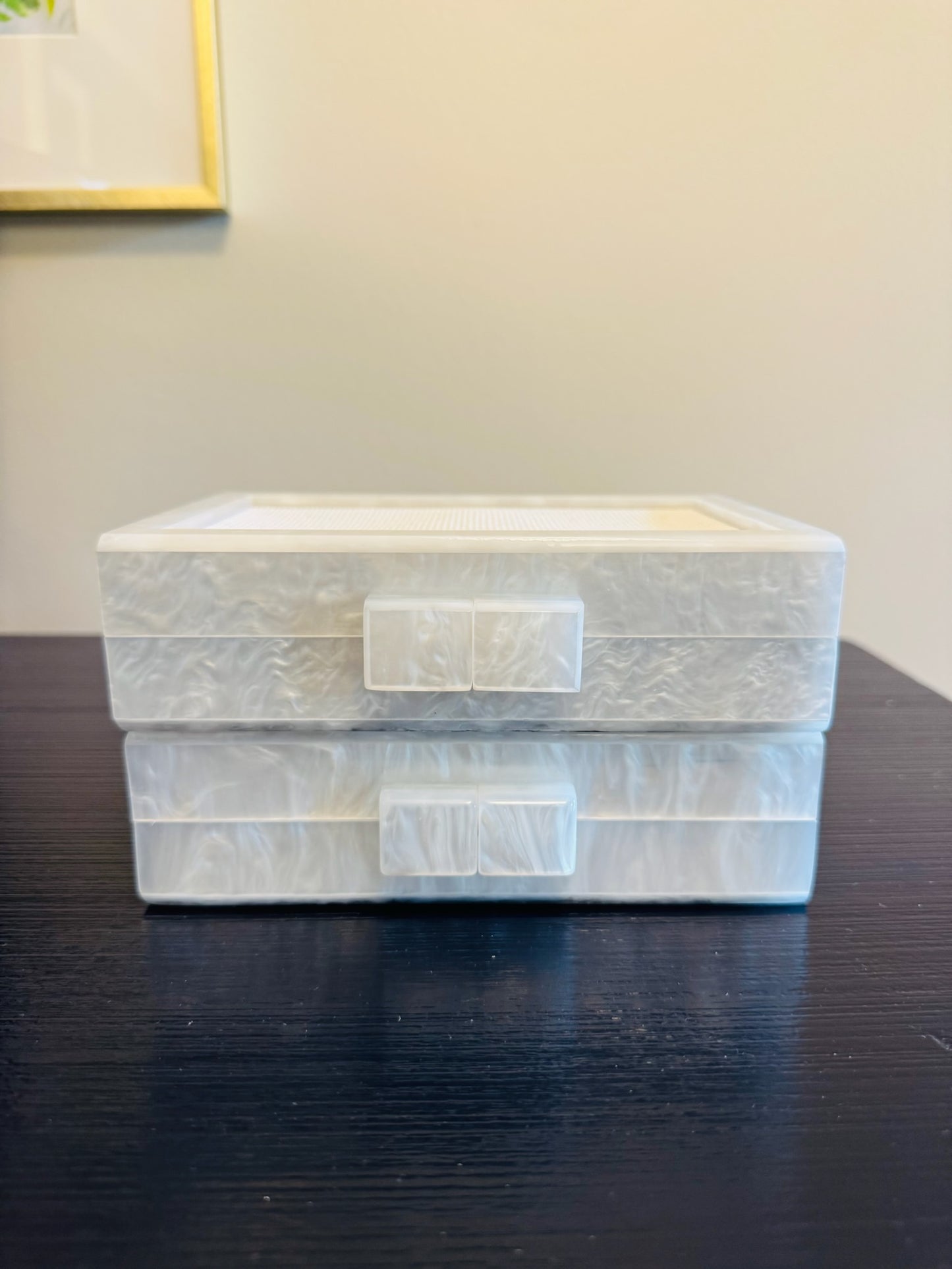 the𝗡𝗗𝗟𝗣𝗧bag™ acrylic clutch BLANK as-is