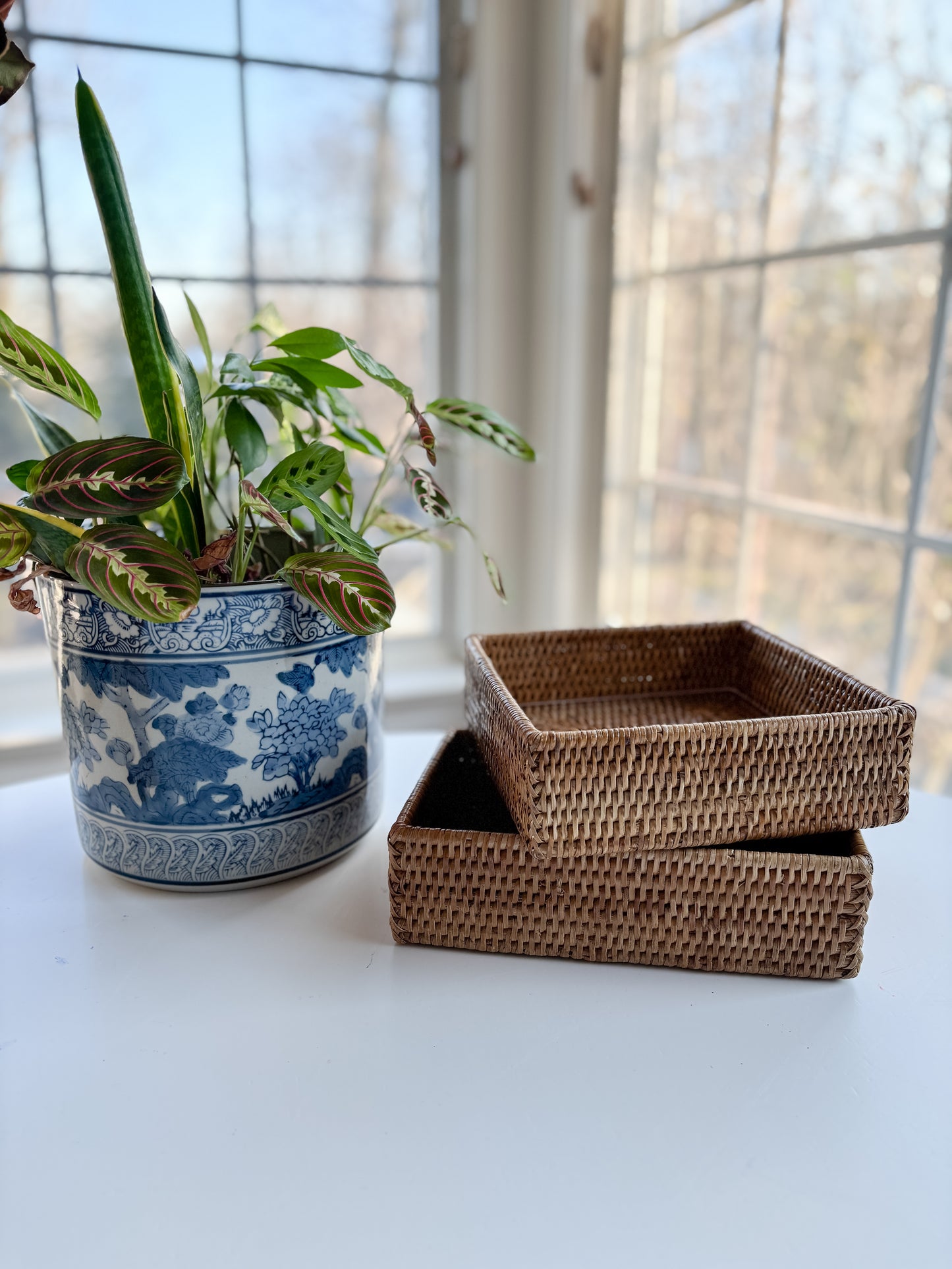 rattan needlepoint tray