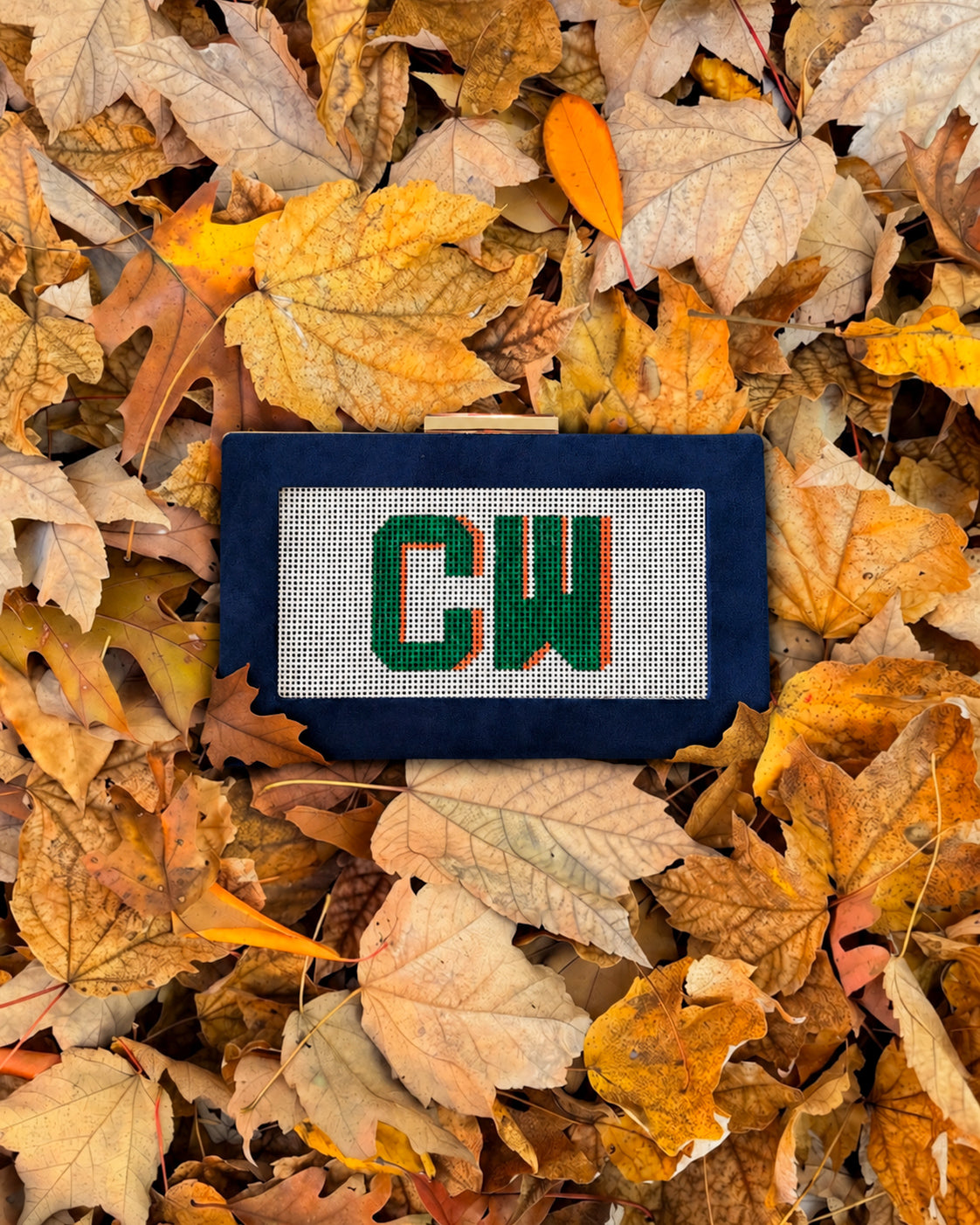 the𝗡𝗗𝗟𝗣𝗧bag™️ suede clutch with painted monogram