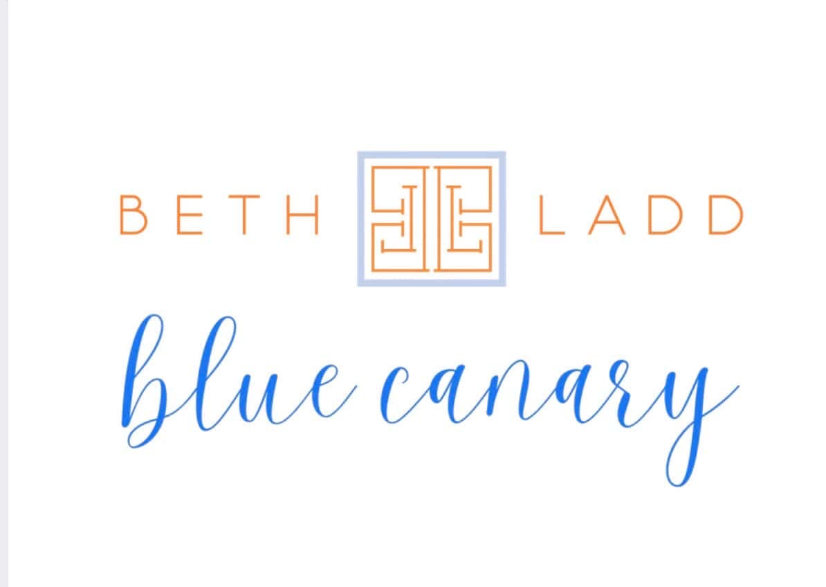 Sh*t to Stitch Project Bags with Beth Ladd Collections